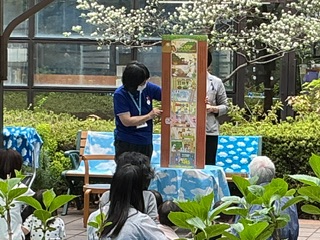 大きな絵本の登場