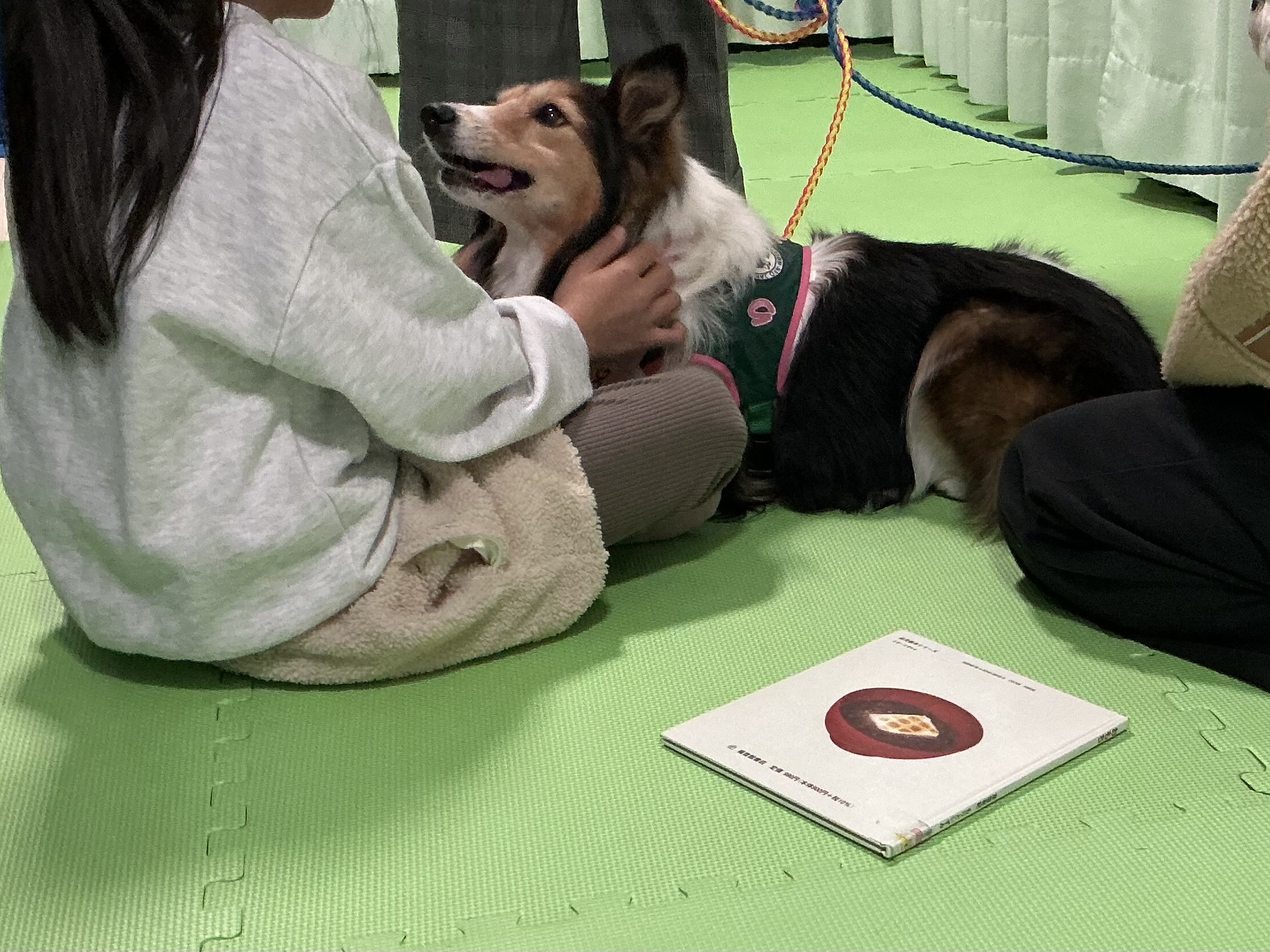 中央　セラピードック2025